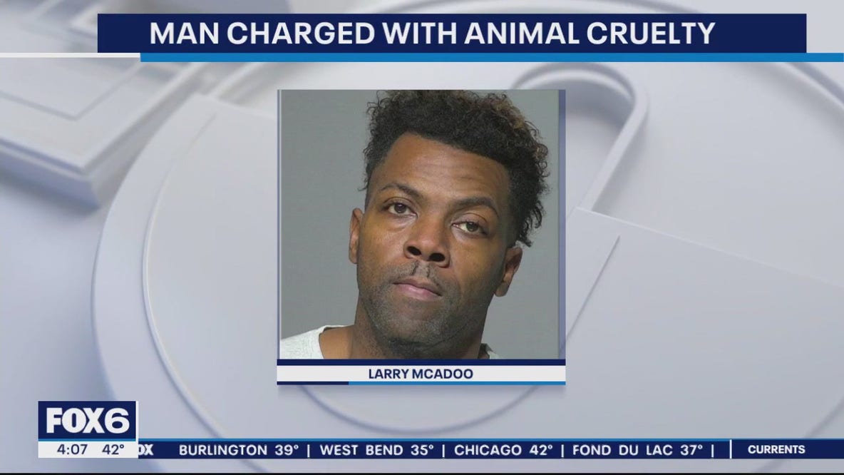 Animals seized from Milwaukee home, man charged